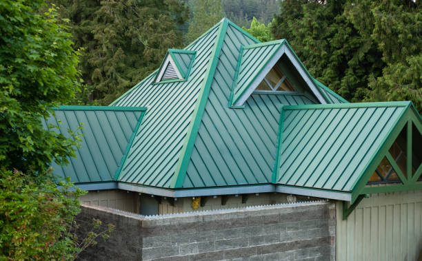 Best Roof Ventilation Installation  in Novato, CA
