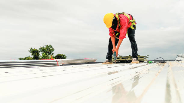 Best Sheet Metal Roofing  in Novato, CA