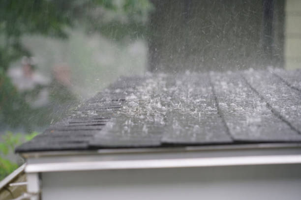 Best Emergency Roof Repair Services  in Novato, CA
