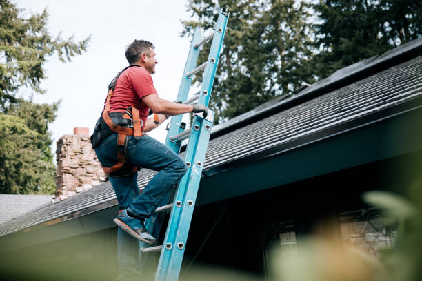 Best Roof Moss and Algae Removal  in Novato, CA