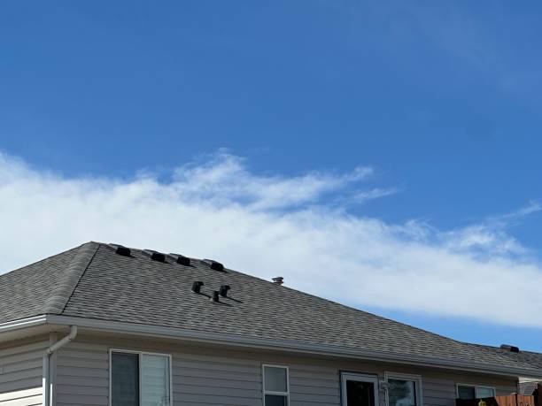Best Gutter Installation and Repair  in Novato, CA